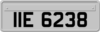 IIE6238