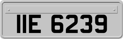 IIE6239