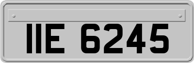 IIE6245