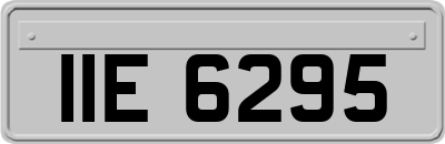 IIE6295