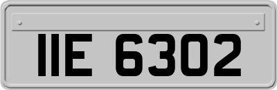 IIE6302