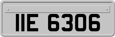 IIE6306