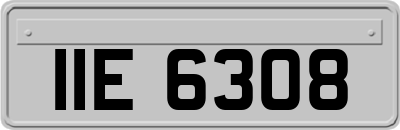 IIE6308
