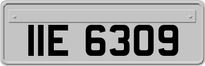IIE6309