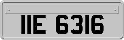 IIE6316