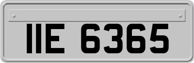IIE6365