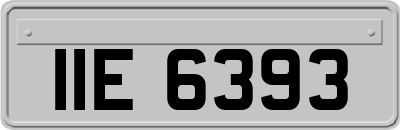 IIE6393