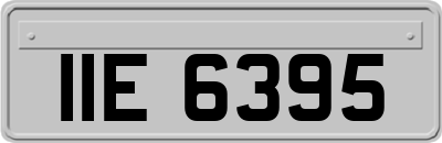 IIE6395