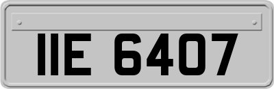 IIE6407