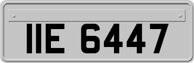 IIE6447