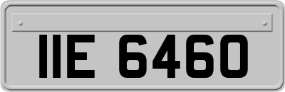 IIE6460