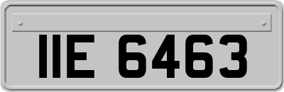 IIE6463