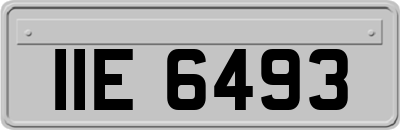 IIE6493
