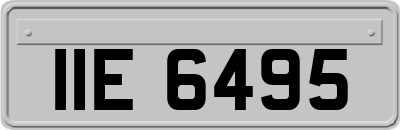 IIE6495