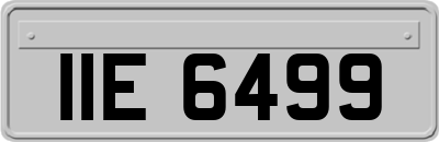IIE6499