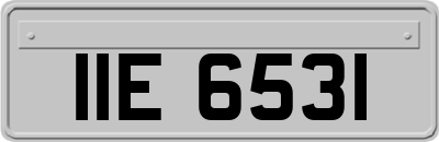 IIE6531