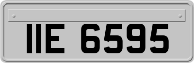 IIE6595