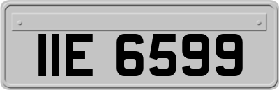 IIE6599