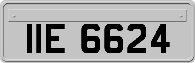 IIE6624