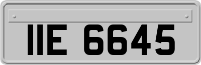 IIE6645
