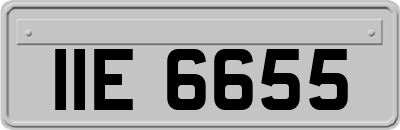 IIE6655