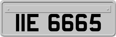 IIE6665