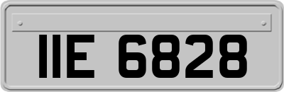 IIE6828