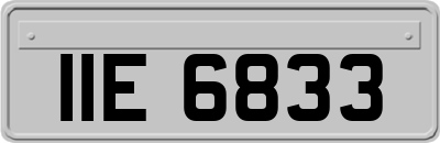 IIE6833