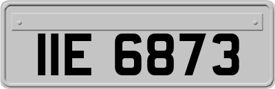 IIE6873