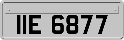 IIE6877