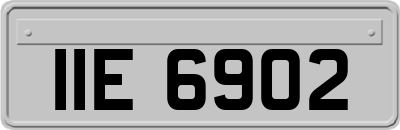 IIE6902