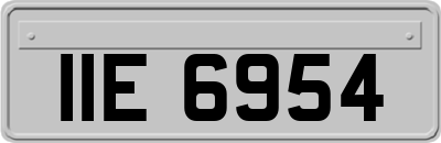 IIE6954