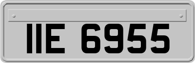 IIE6955