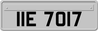 IIE7017