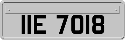 IIE7018