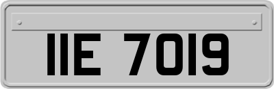 IIE7019