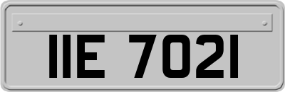 IIE7021