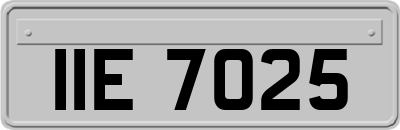 IIE7025