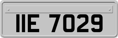 IIE7029
