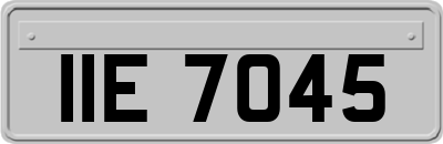 IIE7045