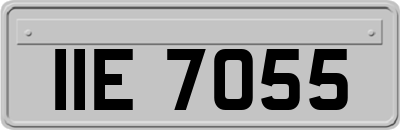 IIE7055