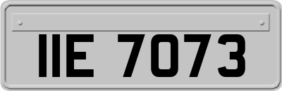 IIE7073