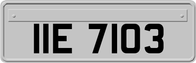 IIE7103
