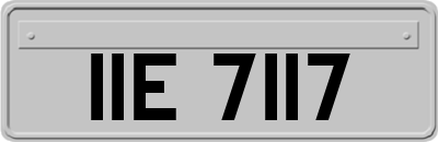 IIE7117