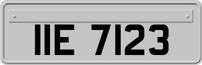 IIE7123