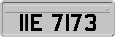 IIE7173
