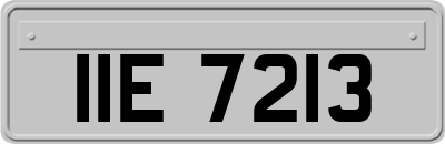 IIE7213