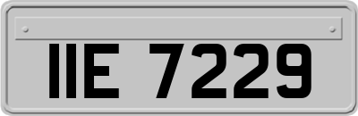 IIE7229