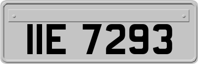IIE7293