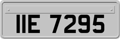 IIE7295